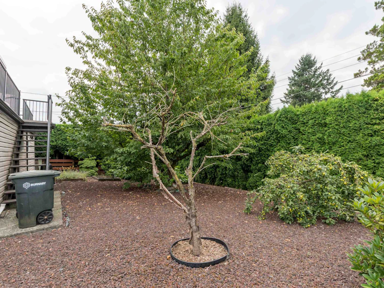 7182 Gibson Street, Burnaby, BC, V5A 1P3 - 16