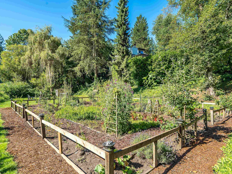 23182 Rawlison Crescent, Langley, BC, V1M 3R7 - 4