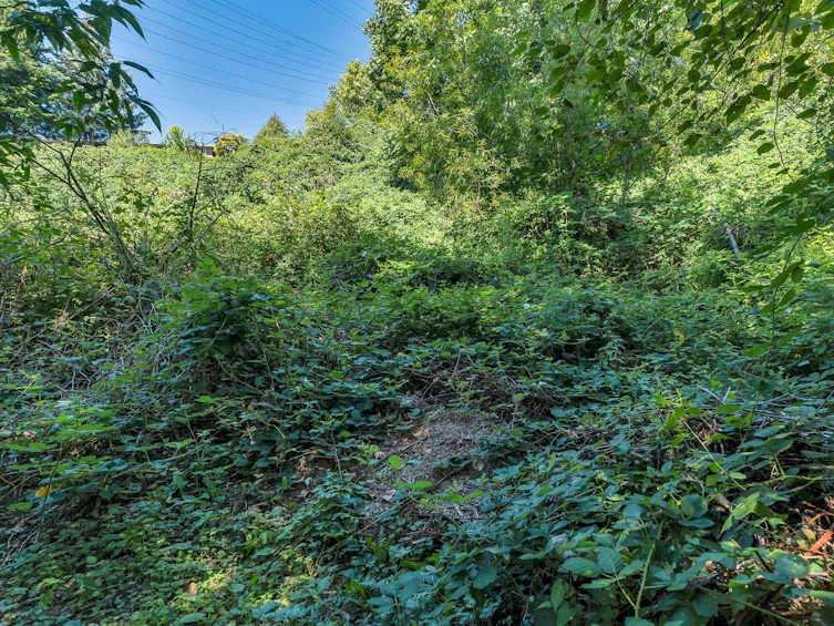 32810 2nd Avenue, Mission, BC, V2V 1H9 - 36