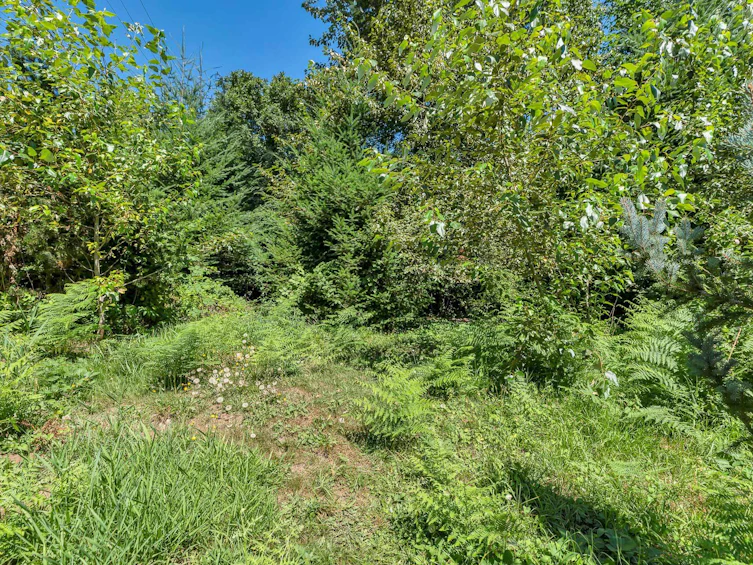 32810 2nd Avenue, Mission, BC, V2V 1H9 - 32