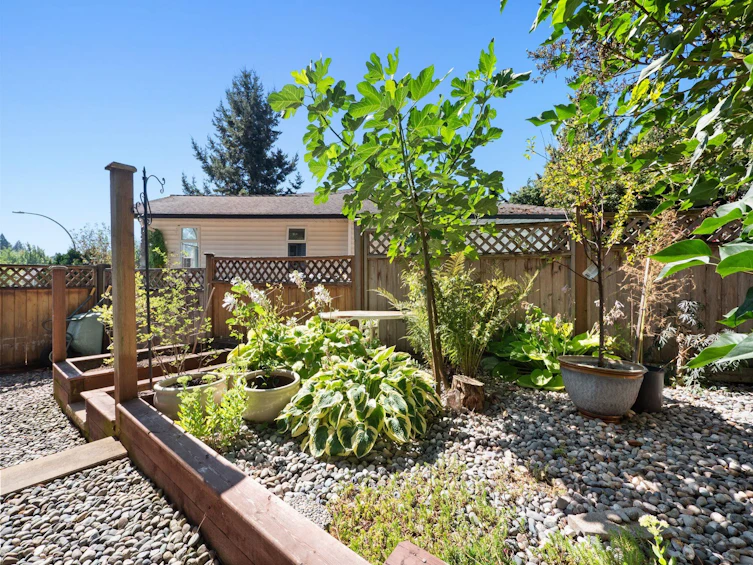 31312 Fibish Place, Abbotsford, BC, V2T 5H2 - 37