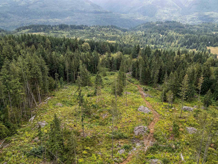 50375 Elk View Road, Chilliwack, BC, V4Z 1A5 - 6