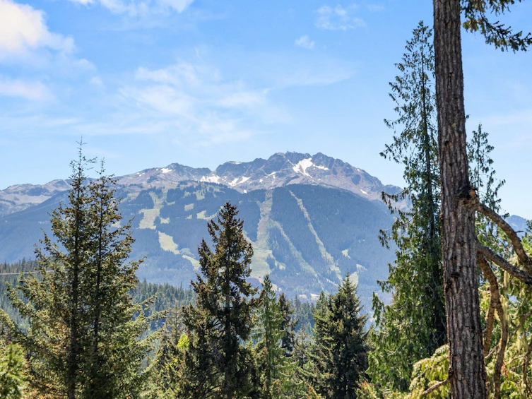 9551 Emerald Drive, Whistler, BC, V8E 0G5 - 20