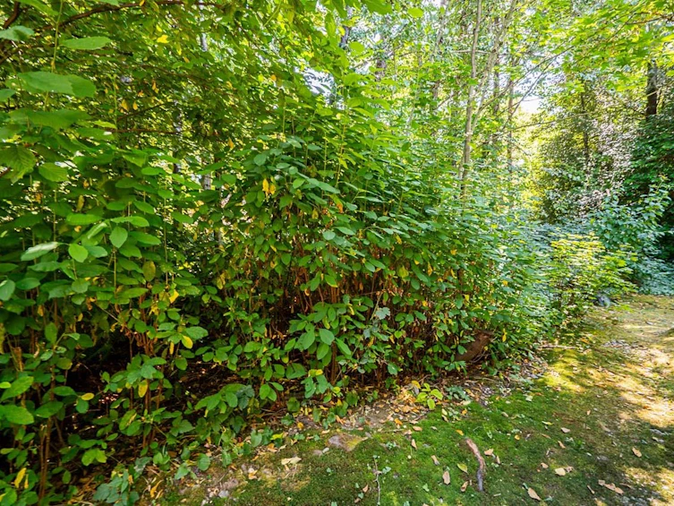 36-7465 Mulberry Place, Burnaby, BC, V3N 5A1 - 39