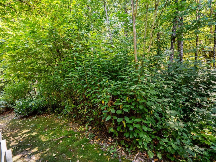 36-7465 Mulberry Place, Burnaby, BC, V3N 5A1 - 38