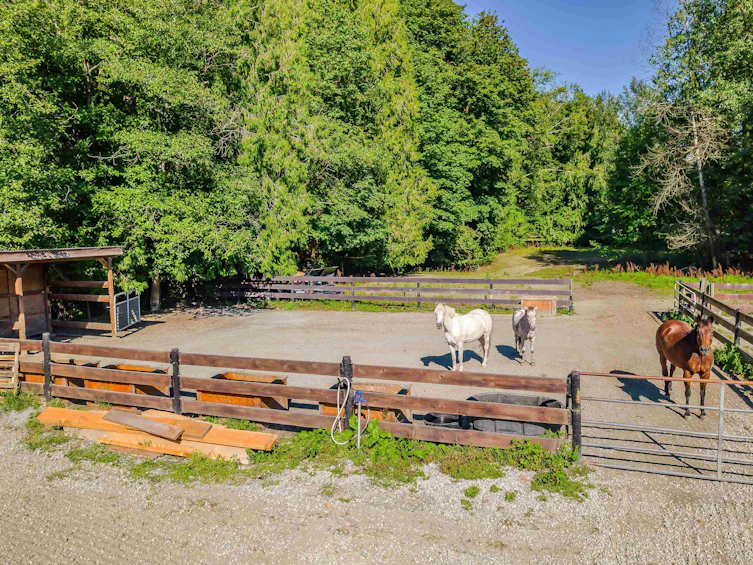 12290 252 Street, Maple Ridge, BC, V4R 1G6 - 35