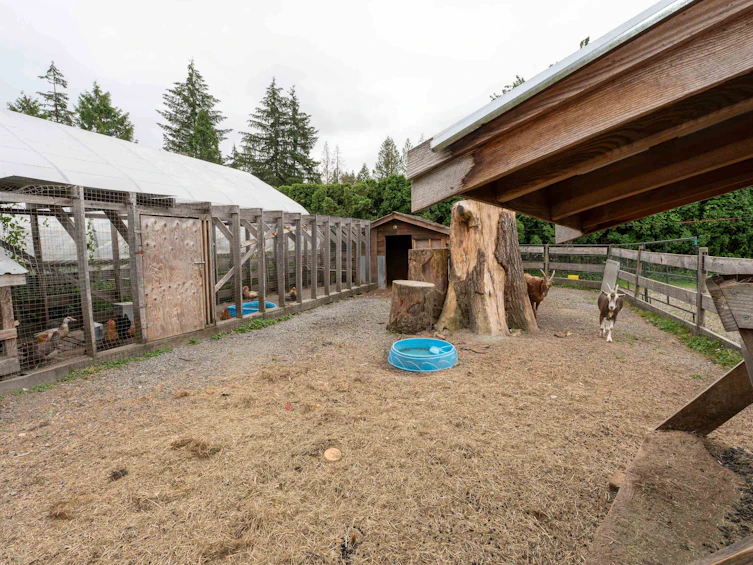 12290 252 Street, Maple Ridge, BC, V4R 1G6 - 26