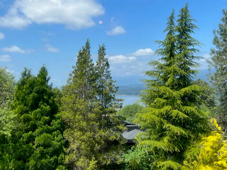 7286 Barnet Road, Burnaby, BC, V5A 1E2 - 8