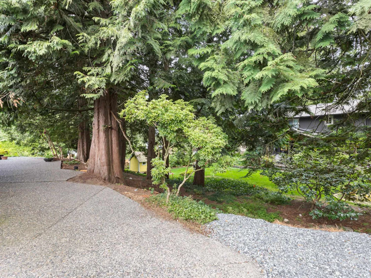 34869 Everett Drive, Abbotsford, BC, V2S 7R7 - 36