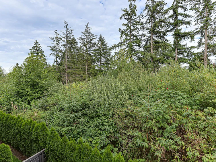 120-4638 Orca Way, Delta, BC, V4M 0C2 - 18