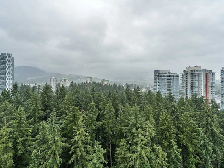 2601-3080 Lincoln Avenue, Coquitlam, BC, V3B 7L9 - 31