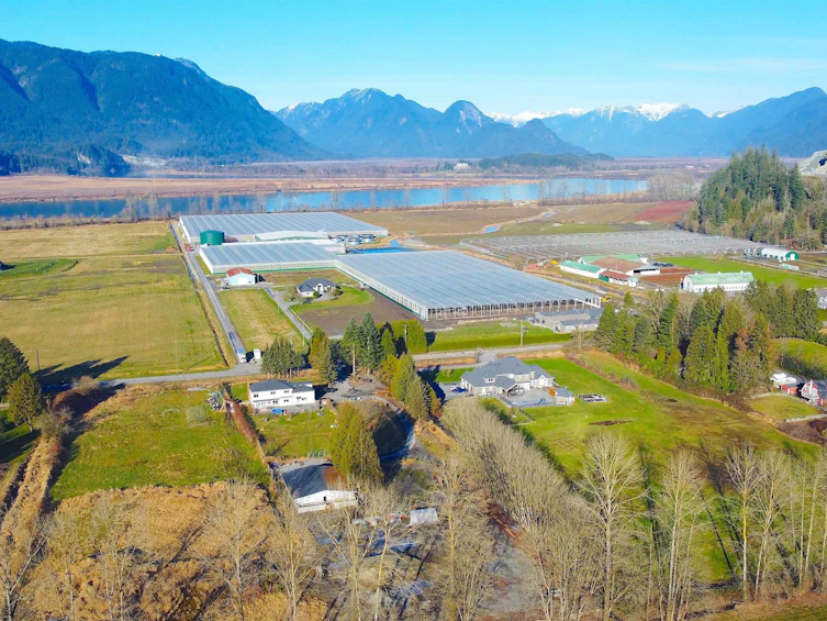 19682 Richardson Road, Pitt Meadows, BC, V3Y 1Z1 - 20