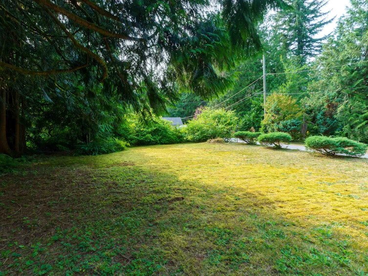 11288 Graham Street, Maple Ridge, BC, V2W 1M9 - 3