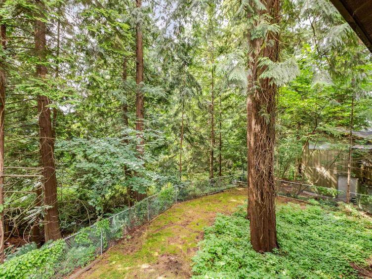 20804 Wicklund Avenue, Maple Ridge, BC, V2X 8M5 - 10