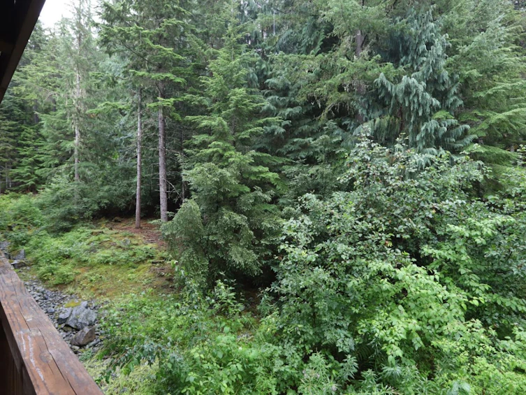 206 G2-4653 Blackcomb Way, Whistler, BC, V8E 0Y9 - 7