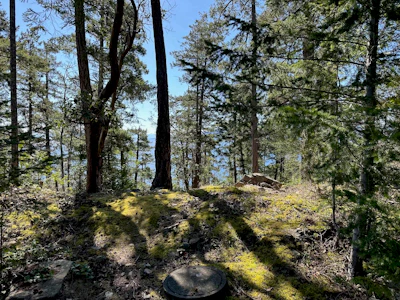 LOT 48 Orca Road - 4