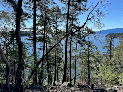 LOT 48 Orca Road - 2