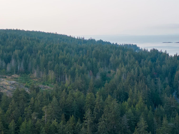 Block B Priestland Road, Halfmoon Bay, BC, V0N 1Y0 - 27
