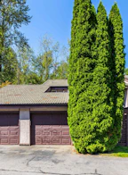 105e 3655 Shaughnessy Street