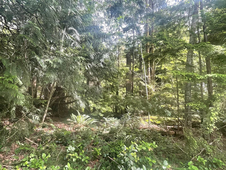 LOT 1 Brooks Road, Halfmoon Bay, BC, V7Z 1G1 - 15
