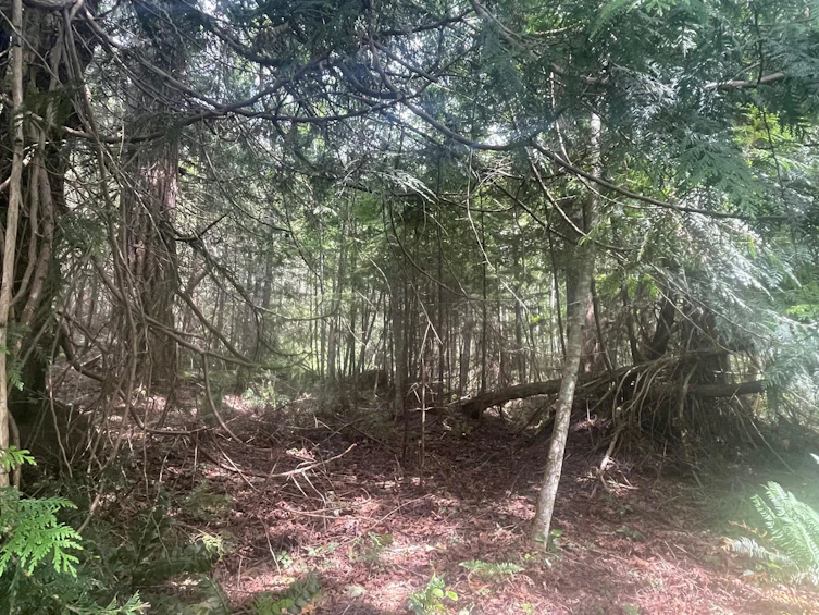 LOT 1 Brooks Road, Halfmoon Bay, BC, V7Z 1G1 - 17
