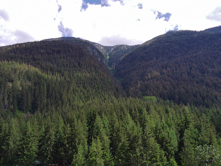 HG171-71399 Grove Boulevard, Hope, BC, V0X 1L5 - 32