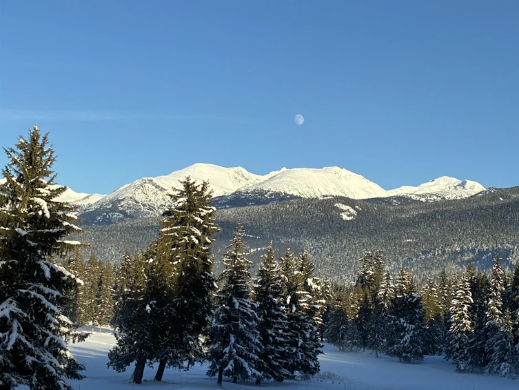209-3317 Ptarmigan Place, Whistler, BC, V8E 0V7 - 29