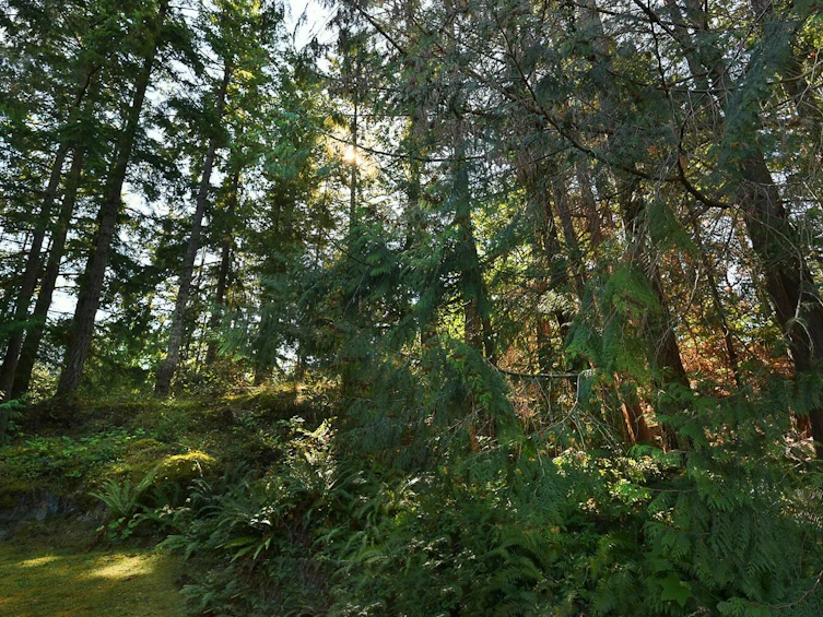 12886 Lagoon Road, Pender Harbour Egmont, BC, V0N 2H1 - 12