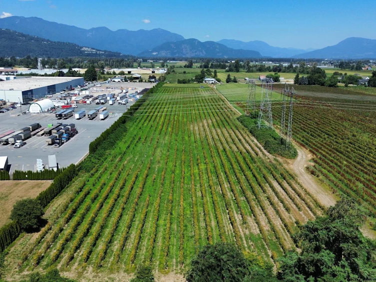 44705 Watson Road, Chilliwack, BC, V2R 2Y6 - 30