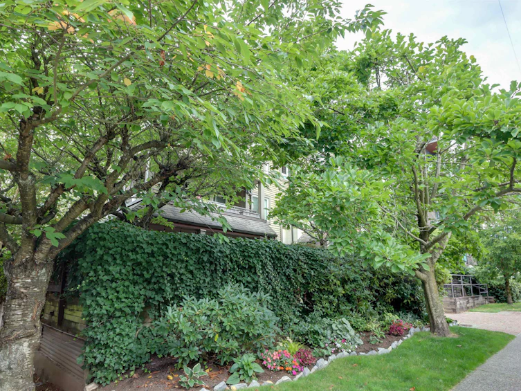 205-1535 Chesterfield Avenue, North Vancouver, BC, V7M 2N5 - 21