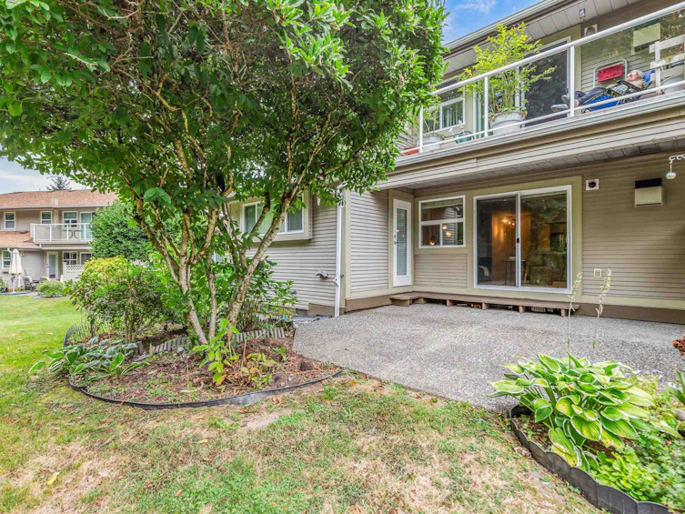 13-12071 232b Street, Maple Ridge, BC, V2X 0Z7 - 29