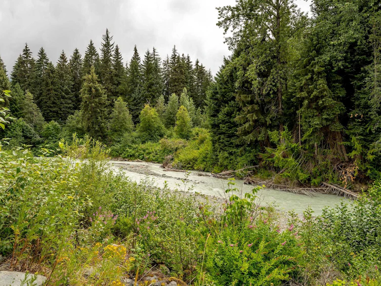7313 Fitzsimmons Road South, Whistler, BC, V8E 0E5 - 27