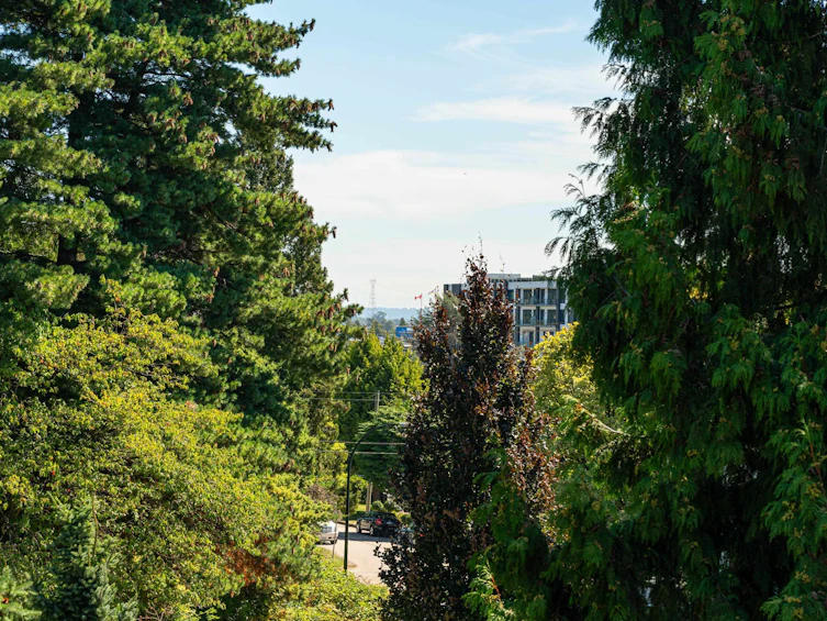 311-7928 Yukon Street, Vancouver, BC, V5X 2Y7 - 26