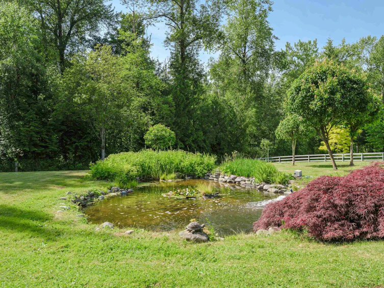23731 12 Avenue, Langley, BC, V2Z 2Y2 - 30