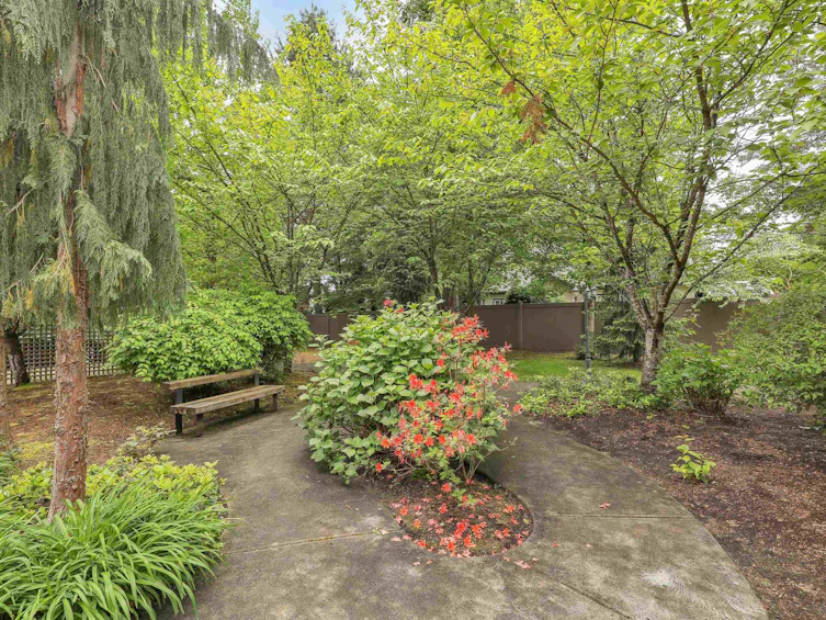 11-9077 150th Street, Surrey, BC, V3R 7Z2 - 38