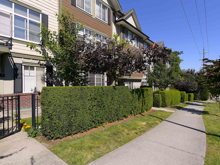 9-2845 156 Street, Surrey, BC, V3Z 3Y3 - 19