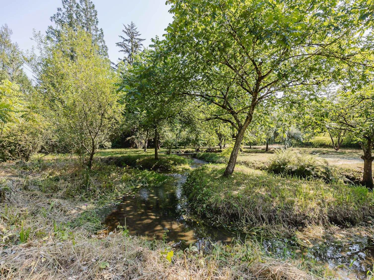 11977 Stave Lake Road, Mission, BC, V2V 4J1 - 16