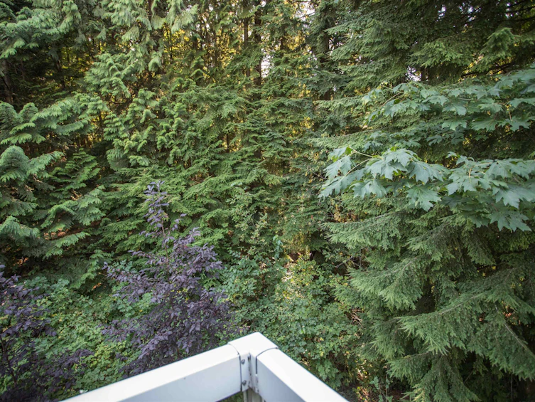 307-3033 Terravista Place, Port Moody, BC, V3H 5A3 - 25