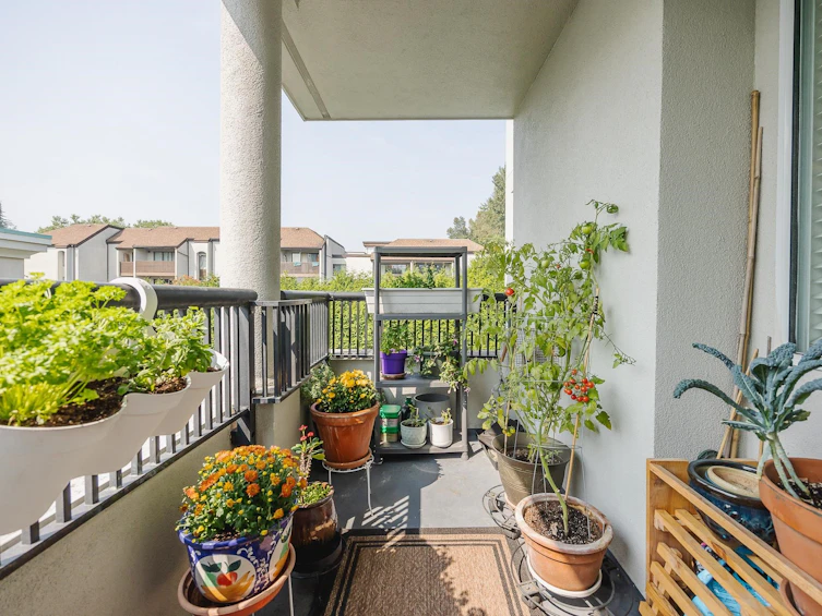 302-55 Blackberry Drive, New Westminster, BC, V3L 5S7 - 31