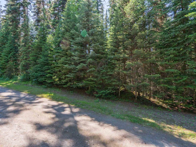 Lot-1 & 2 Bowron Lake Road - 3