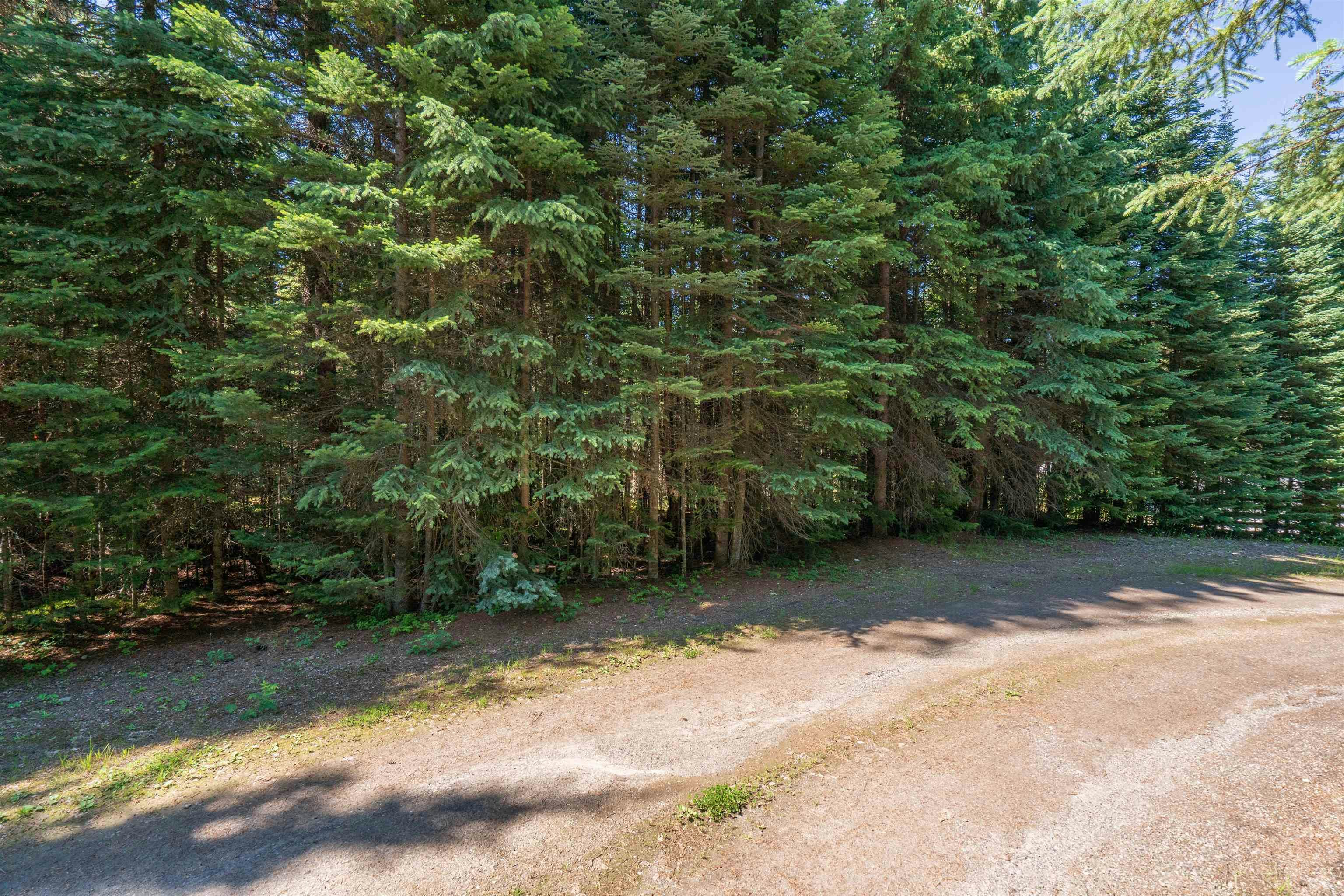 Lot-1 & 2 Bowron Lake Road - 5