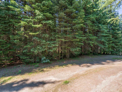Lot-1 & 2 Bowron Lake Road - 5