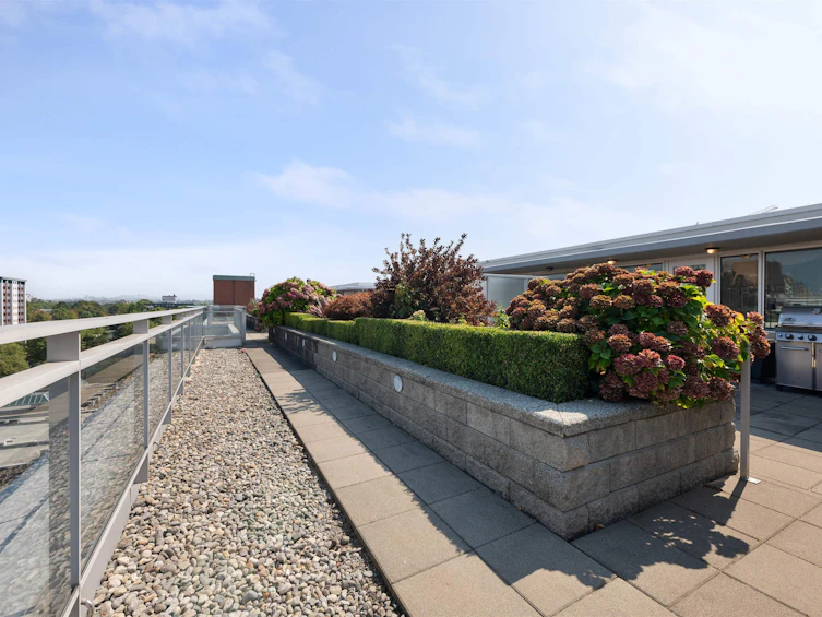 903-221 Union Street, Vancouver, BC, V6A 0B4 - 29