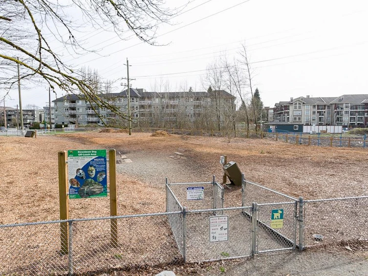 302-2353 Marpole Avenue, Port Coquitlam, BC, V3C 2A1 - 39