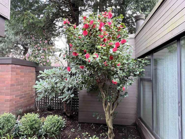 6554 Pinehurst Drive, Vancouver, BC, V5X 4P1 - 30