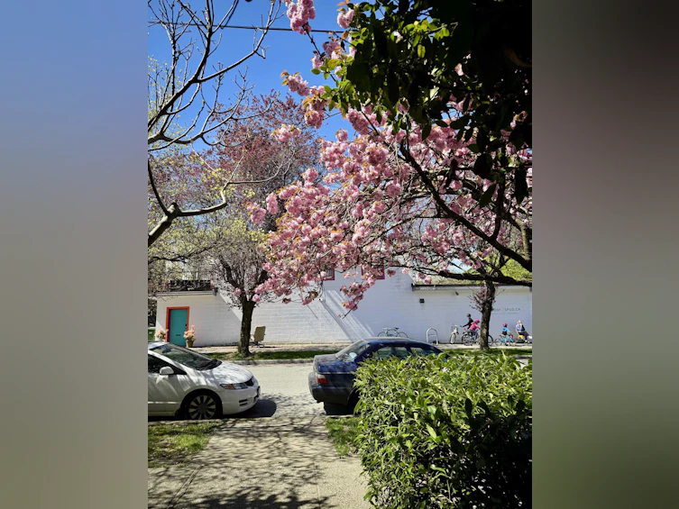 1732 Cypress Street, Vancouver, BC, V6J 4W2 - 29
