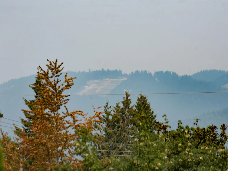 847 E 13th Street, North Vancouver, BC, V7L 2M8 - 2