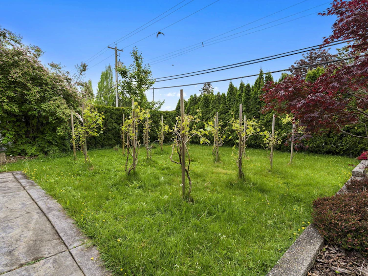 12084 232nd Street, Maple Ridge, BC, V2X 6T3 - 38