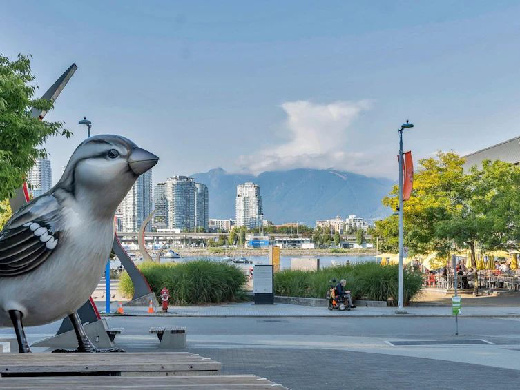206-63 W 2nd Avenue, Vancouver, BC, V5Y 0G8 - 34