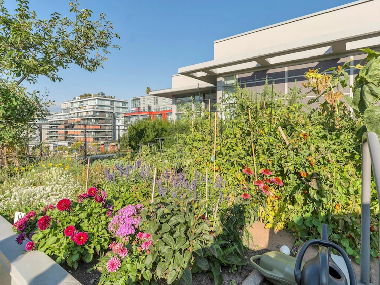 206-63 W 2nd Avenue, Vancouver, BC, V5Y 0G8 - 29